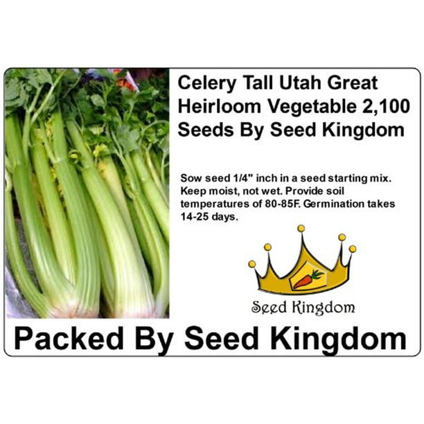 Japanese Green Boy 2000 Seeds Komatsuna Large Vegetable Japanese Green Boy 2000 Seeds Komatsuna Large Vegetable